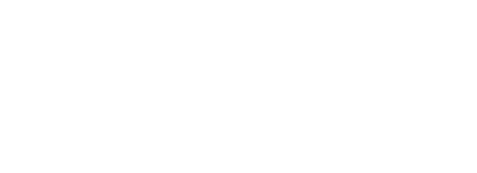 goknight.online Logo